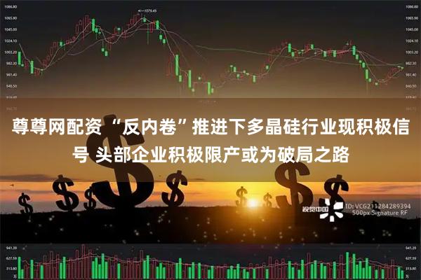 尊尊网配资 “反内卷”推进下多晶硅行业现积极信号 头部企业积极限产或为破局之路